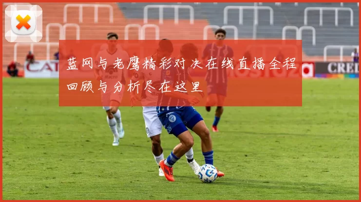 蓝网与老鹰精彩对决在线直播全程回顾与分析尽在这里