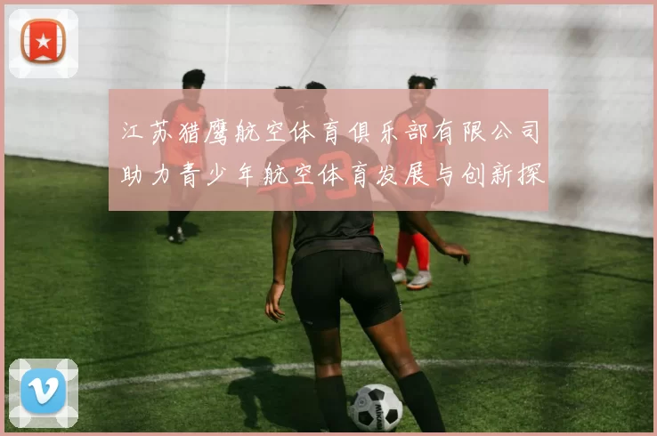 江苏猎鹰航空体育俱乐部有限公司助力青少年航空体育发展与创新探索